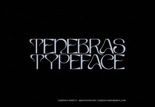 新酸性艺术优雅动态曲线无衬线英文字体 Domenico Barreto - Tenebras