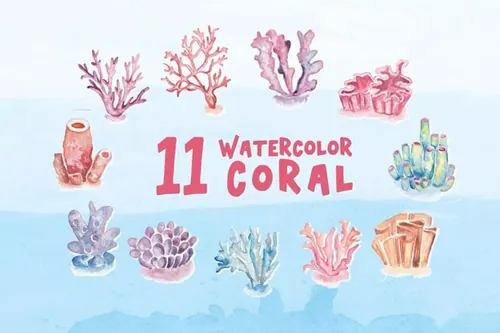 海洋珊瑚水彩元素插画 11 Watercolor Coral Illustration Graphics