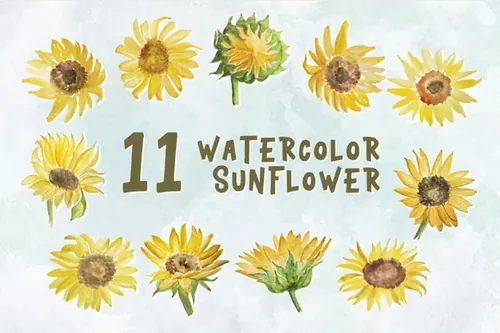 黄色向日葵水彩装饰插画 11 Watercolor Sunflower Illustration Graphics