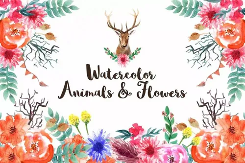 动物花卉水彩元素插画 Watercolor Animals  Flowers
