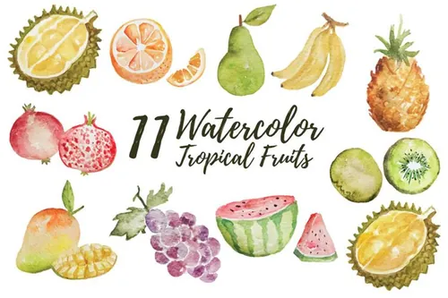 11款热带水果水彩插画 11 Watercolor Tropical Fruits Illustration