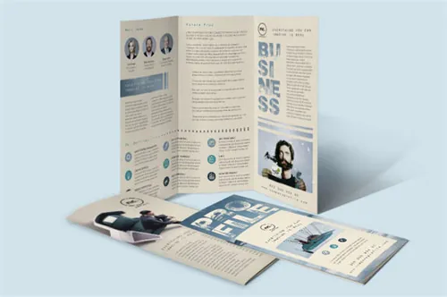 Company Profile Trifold Brochure Template