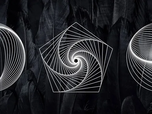 矢量线条艺术图案18 Geometric Line Art