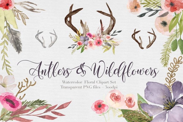 独特手绘花卉鹿角剪贴画合集 Antlers  flowers