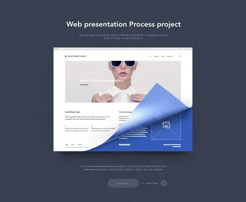 现代时尚网页展示PSD模板Psd Web Project Presentation V