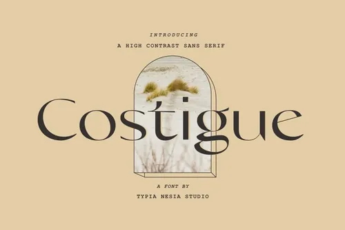 时尚优雅现代女性咖啡店酒店品牌无衬线英文字体 Costigue Luxury Sans