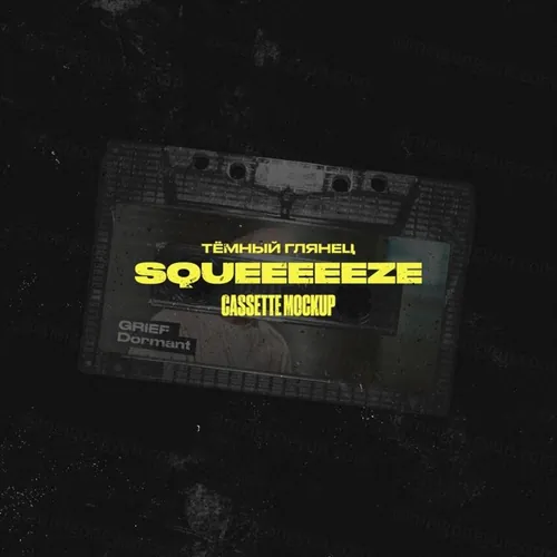 复古仿旧艺术废旧磁带音乐封面设计展示样机模板 Squeeeeeze - Cassette Mockup