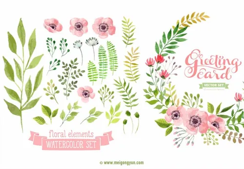 花卉免抠矢量元素Flowers and plants