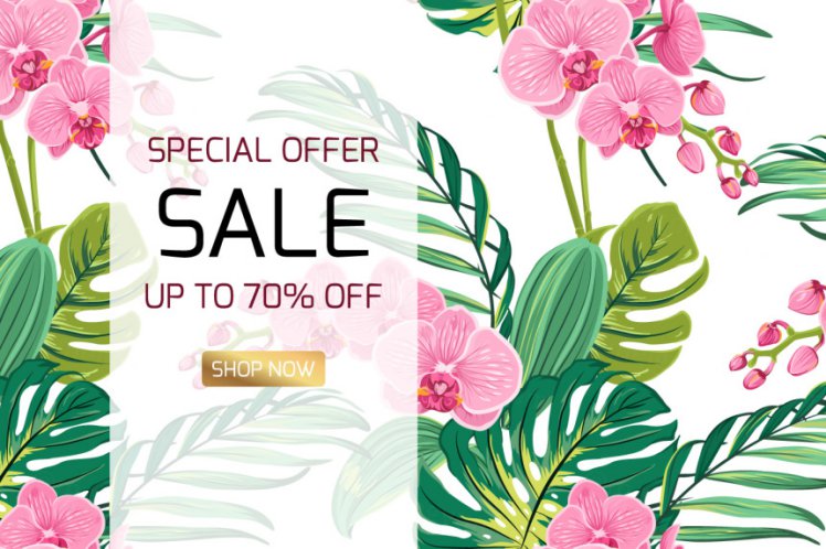 热带花卉鲜花背景促销矢量海报Exotic pink orchid phalaenopsis