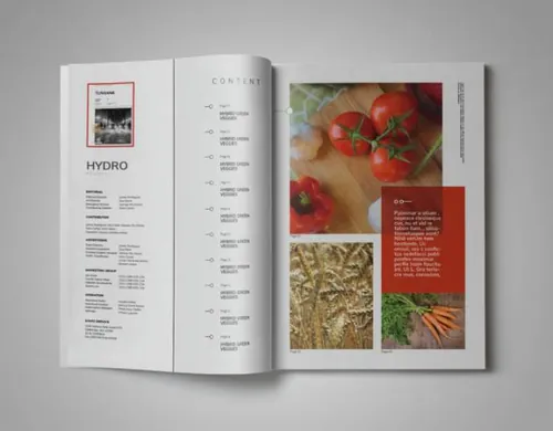 indesign版本-indesign排版模板时尚高端绿色健康食品画册册杂志房地产