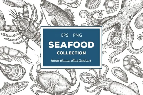 复古粗略风格的手绘海鲜插图合集 Seafood Illust