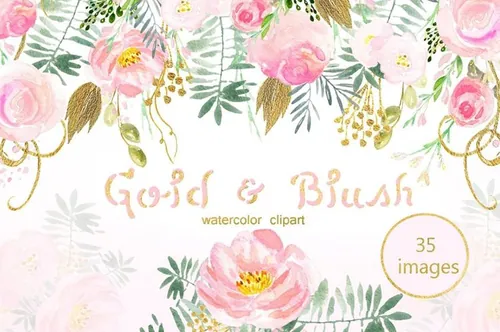 水彩浅粉腮红金色花卉剪贴画合集 Gold and blush
