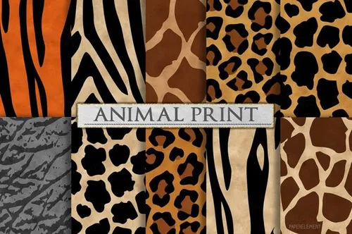 动物皮毛纹理设计背景Animal Print Patterns - Zebra Print