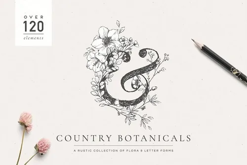 可爱的乡村风格的复古优雅手绘植物合集包 Botanical