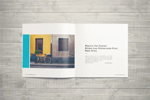 indesign教程-indesign排版模板极简主义的摄影作品集画册设计psd