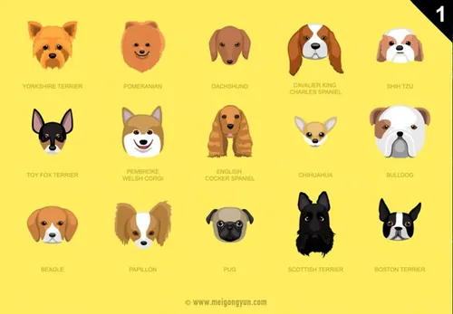 20种可爱狗狗头像矢量元素20 kinds of lovel