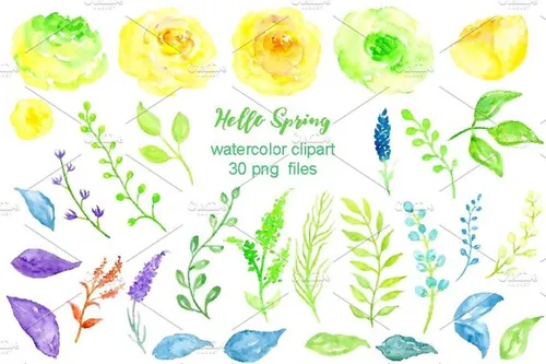 手绘水彩春天花卉植物设计素材 Watercolor-Clip