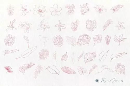 热带花卉水彩手绘剪贴画 Tropical Flowers