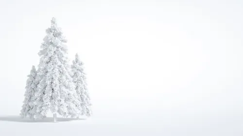 白色雪松圣诞树新年圣诞节装饰元素3D渲染合成高清背景 3d rendering of a christmas