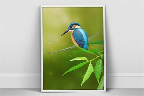 翠鸟A4海报素材 Kingfisher Portrait A4 psd Poster
