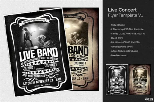 流行音乐会海报模版 Live Concert Flyer
