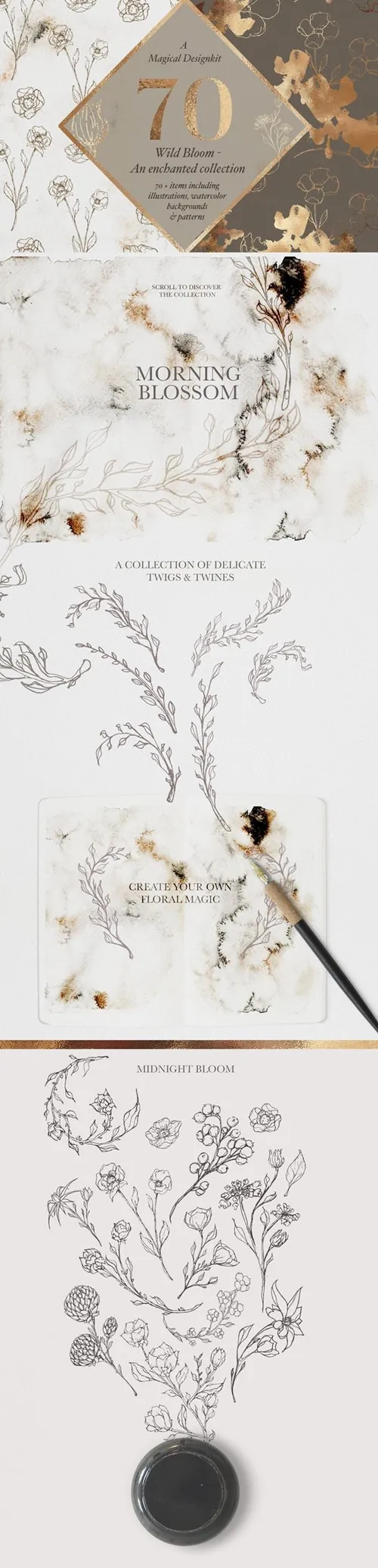 手绘优雅铅笔花卉植物设计素材Illustrations  W