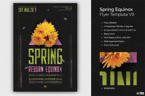 春分主题海报 Spring Equinox Flyer