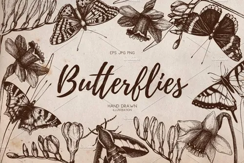 复古风格蝴蝶手绘插画 Vector Butterfly Fl