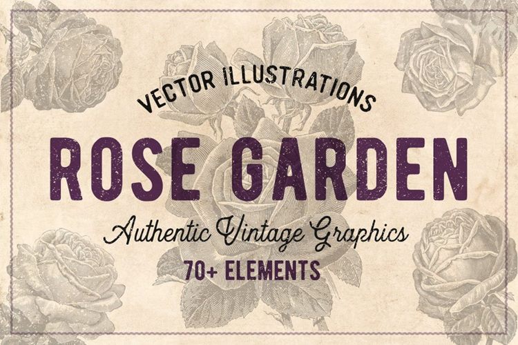 70款手绘怀旧风格的玫瑰花矢量素材下载70 Vintage