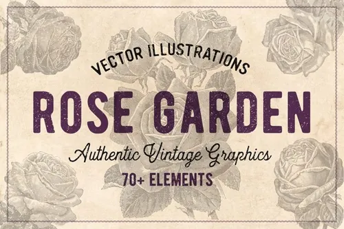 70款手绘怀旧风格的玫瑰花矢量素材下载70 Vintage