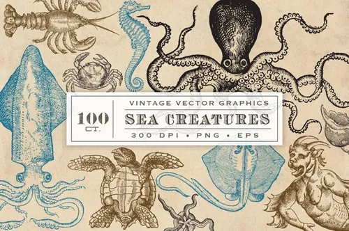 46海洋生物旧书插画集 Antique Sea Creatu