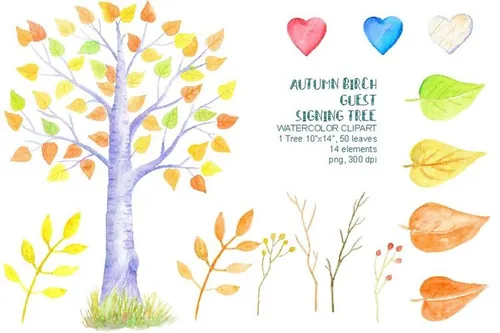 水彩秋季桦木客人签名树插画 Autumn Birch Gue