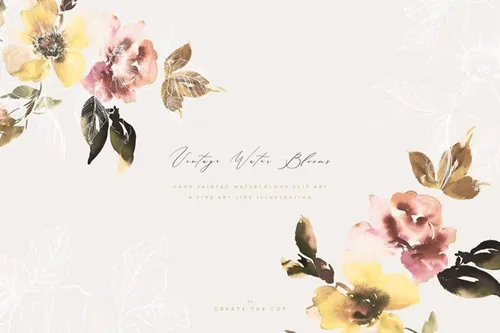 柔和优雅的水墨花朵矢量插画系列 Vintage Water