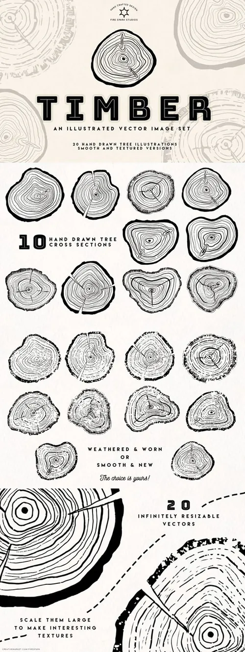 手绘树木年轮矢量图像合集 Timber  Hand Draw