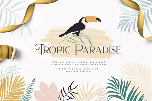 热带天堂系列夏季花卉剪贴画 Tropic Paradise