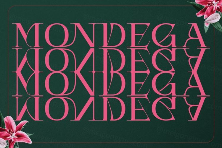 现代优雅线条女性品牌设计婚礼宣传设计排版英文衬线字体 Mon