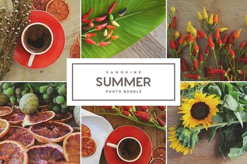 桌面场景干柠檬片和辣椒高清图片素材 Sanguine_Sum