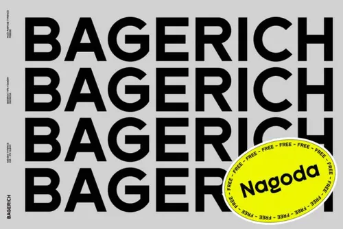 现代简约品牌无衬线英文字体 Bagerich - Nagoda