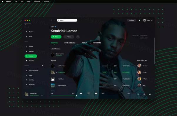 Spotify 概念设计 UI Kits