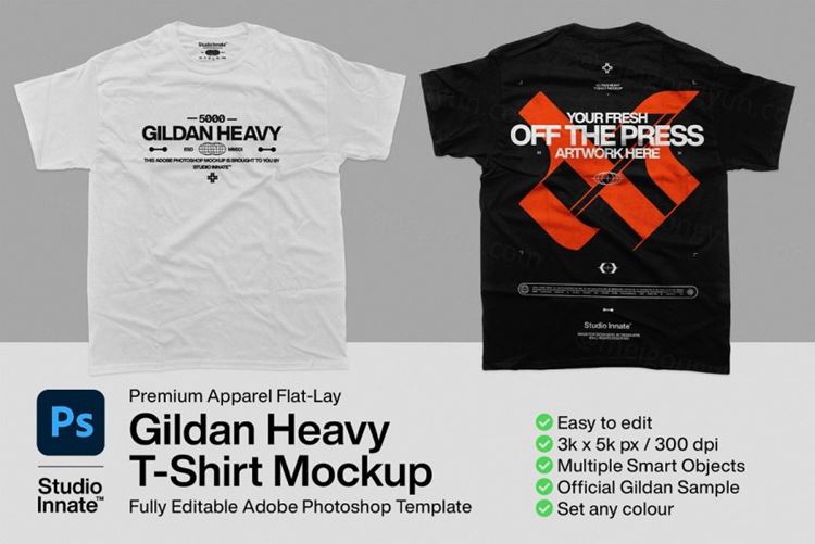 街头潮牌服饰纯棉T恤设计贴图样机PSD模板 5000 Gildan Heavy - T-Shirt Mockup