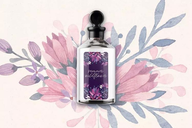 水彩叶子花卉剪贴画 Watercolor Leaves +