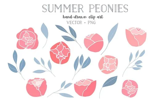 手绘牡丹花设计素材Summer peonies clip art