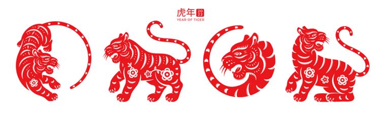 2022中国传统新年剪纸虎年花卉图案矢量素材 Tiger chinese new year