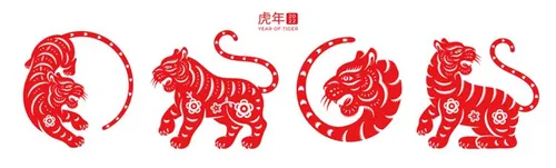 2022中国传统新年剪纸虎年花卉图案矢量素材 Tiger chinese new year