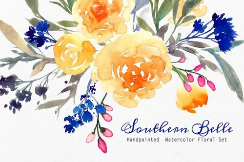 水彩手绘江南彩色花卉插画 Southern Belle  W