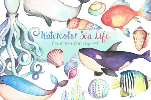 手绘水彩海洋生物设计元素 Watercolor Sea Li