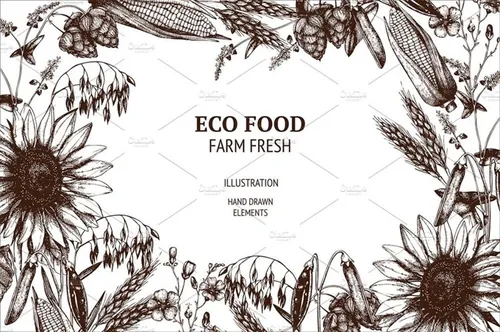 老式矢量农场植物插图 Vector Farm Plants