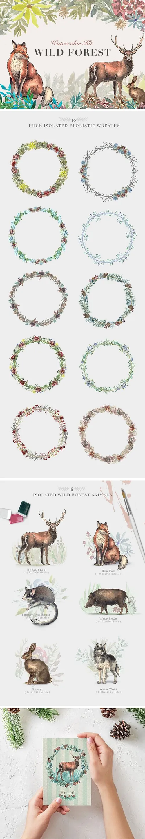 野生动物水彩花卉花框花环素材合集包 Wild Forest Watercolor Kit
