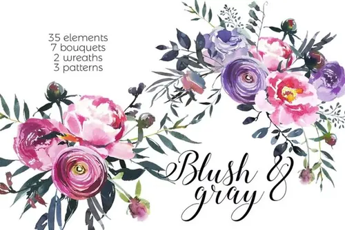 腮红和灰色水彩花卉插画 Blush  Gray Waterc