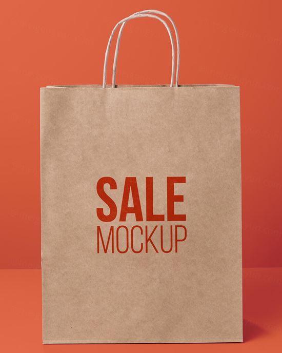 纸袋购物袋环保袋品牌设计贴图样机PSD模板 Paper bag concept with mock-up